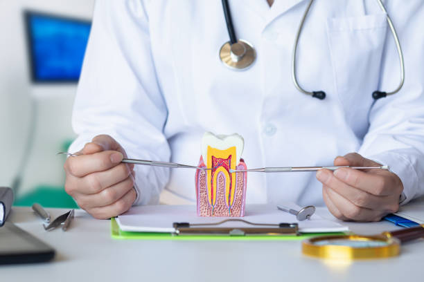 Best Emergency Treatment for Dental Infections or Abscesses in Talty, TX